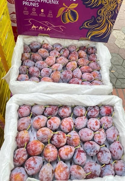 Mận Đường Nội Địa Trung - Image 1