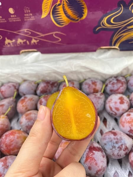 Mận Đường Nội Địa Trung thumbnail 3