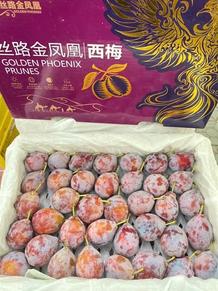 Mận Đường Nội Địa Trung thumbnail 5