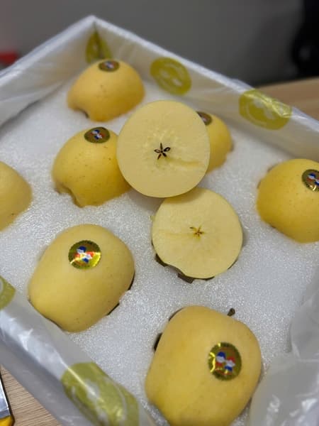 Táo Vàng Giống Nhật Haki - Image 1