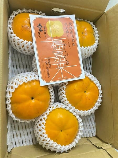 Hồng Hồ Lô Nhật Bản - Image 1