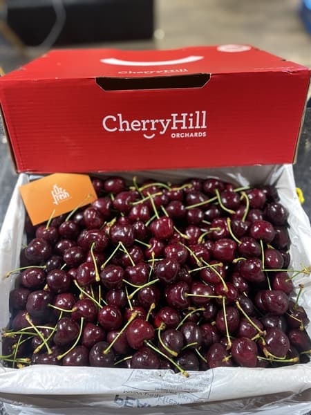 Cherry Hill Úc Size 30+ thumbnail 2