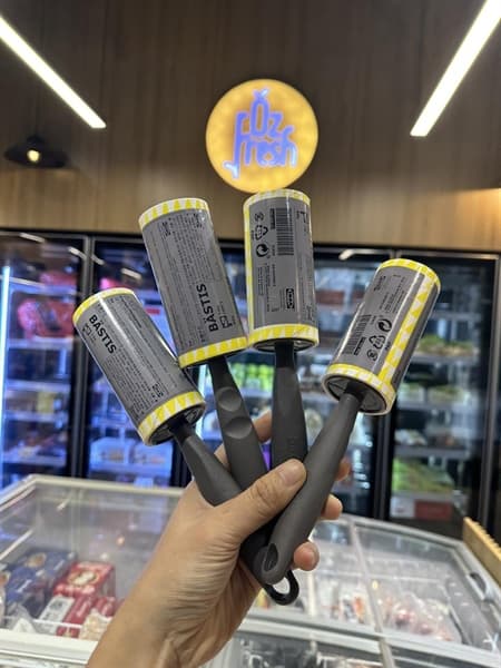 CÂY LĂN BỤI IKEA BASTIS - Image 1
