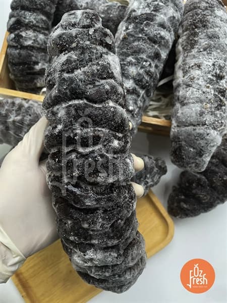 Hải Sâm Úc - SZ VIP - Image 1