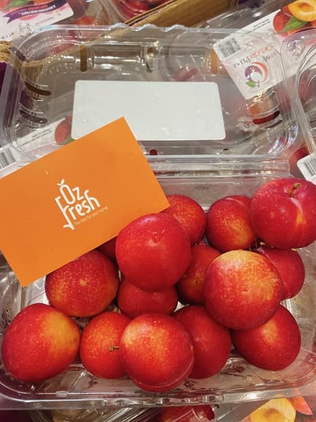 Mận Cherry Mỹ - Image 1
