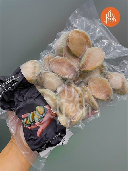 Bào Ngư Viền Xanh Baby Úc - Image 1