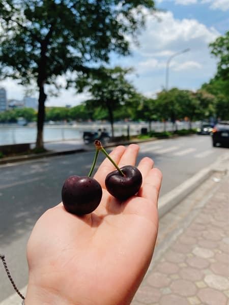 Cherry Đỏ Mỹ Size 8.5 thumbnail 2