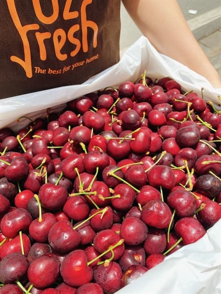 Cherry Đỏ Mỹ Size 8.5 - Image 1