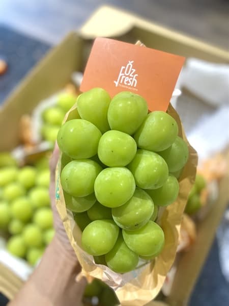 Nho Sữa Nagano Nhật Bản - Chùm - Image 1
