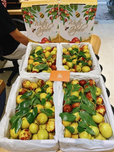 Hồng Táo Tươi JuJuBe Ong Vàng - Image 1