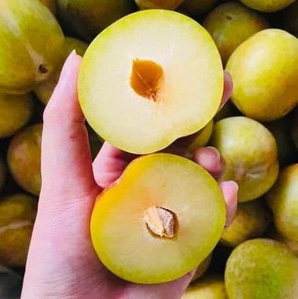 Mận Xanh Mỹ Emeral Beaut thumbnail 2