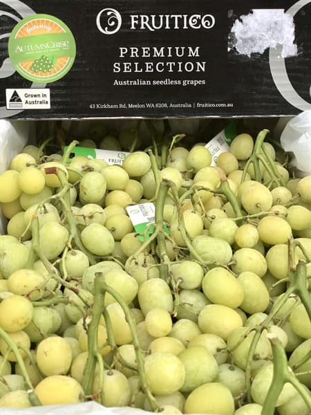 Nho Xanh Fruitico Úc