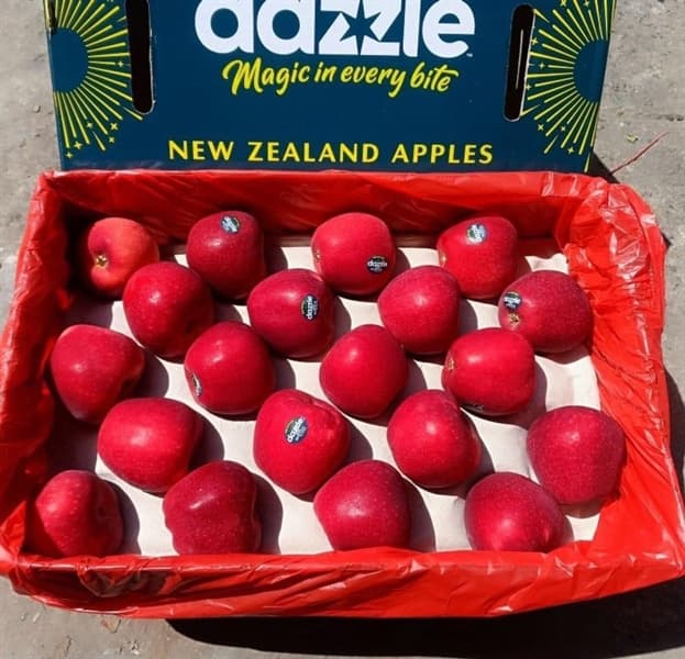 Táo Dazzle Newzealand Size 70 - Image 1