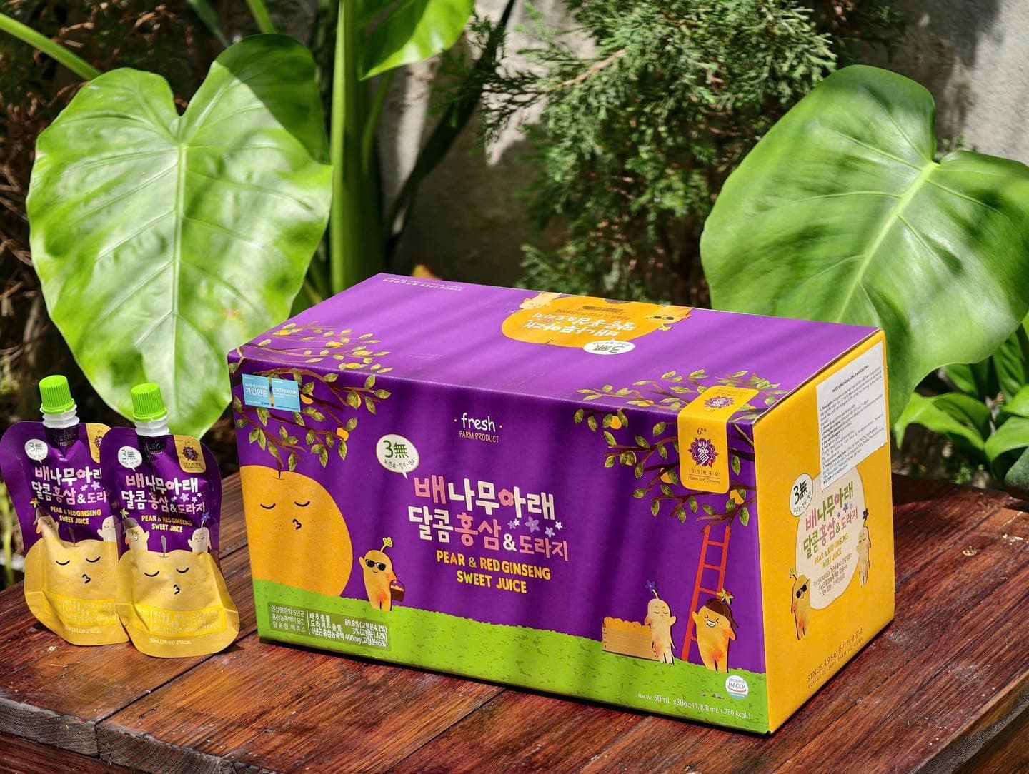 Hồng Sâm Lê Hoa Chuông Hàn Quốc
