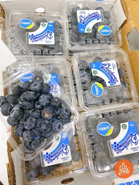Việt Quất Orchard Jumbo Úc ( Hộp 125G )