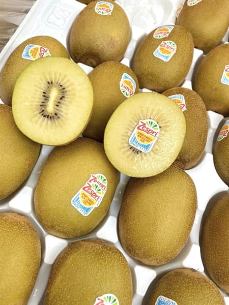 Kiwi Vàng Newzeland Size 25