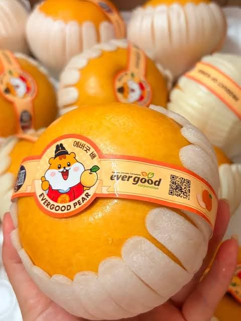 Lê Nâu Evergood Ông Park Hàn Quốc