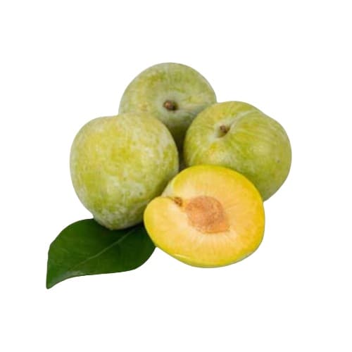 Mận Mật Ong Honey Plum