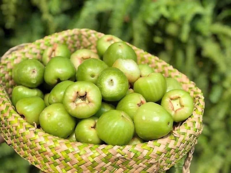 Roi Đường Bông Sóc Trăng